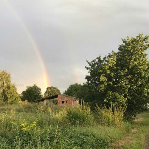 Gärtnerei in Belgershain mit Doppelregenbogen
