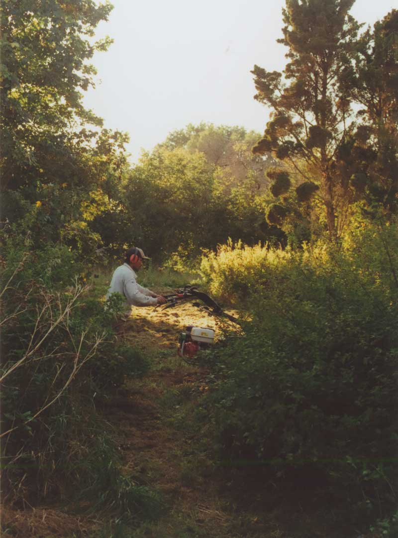 Der Gärtner Didi Alamsyah bei Mähen