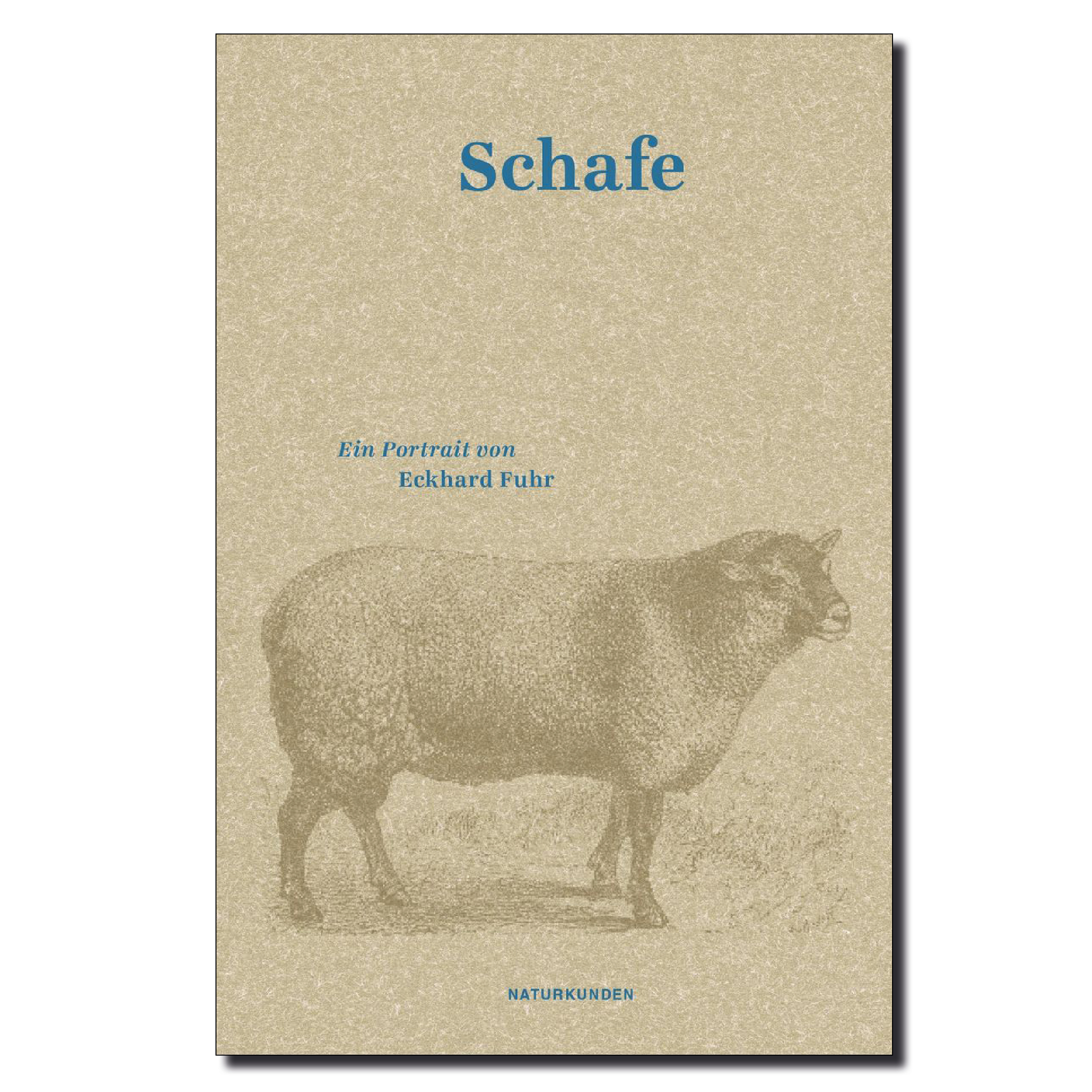Buchcover Schafe
