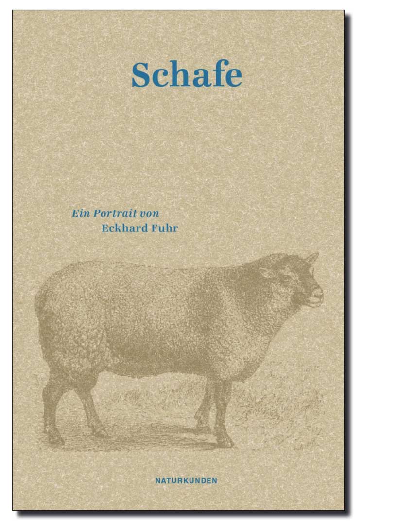 Buch Schafe
